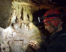 10168984_1082615058436551_2103252254_n[1]