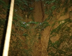 118625395_755005885283876_2314894021743777669_n