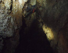 12348401_1082615935103130_1572451850_n