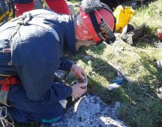 12348417_1083050128393044_2113518441_n