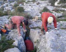 12421569_1068066279891429_334344807_n[1]