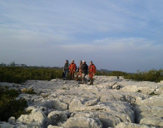 12431555_1068066179891439_103606248_n(1)[1]