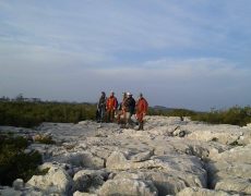 12431555_1068066179891439_103606248_n(1)[1]