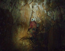 12512038_1082615881769802_1320141116_n