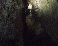 12516206_1082615981769792_952968020_n