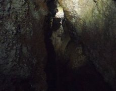 12516206_1082615981769792_952968020_n