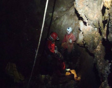 12540356_1082616045103119_1322535285_n