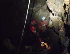 12540356_1082616045103119_1322535285_n