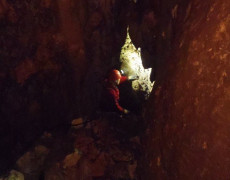 12583627_1082615858436471_530313967_n