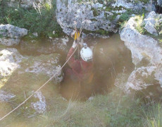 12583950_1082615431769847_171339256_n