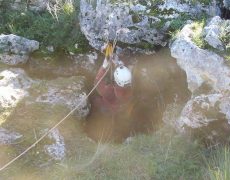 12583950_1082615431769847_171339256_n