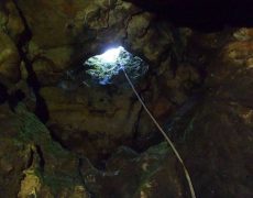 12584069_1082615331769857_2144106808_n