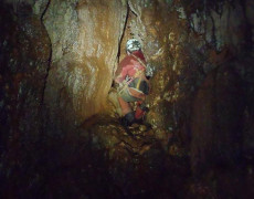 12584128_1082615908436466_1231096561_n