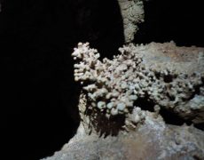 20160211-File0091