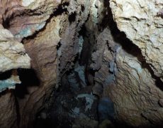 20160211-File0105