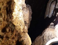 20170211-20170211_163927