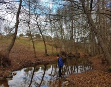 20171230_102503