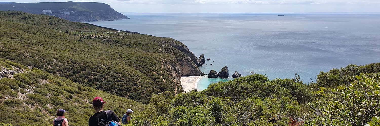 20220626_113301_pan2