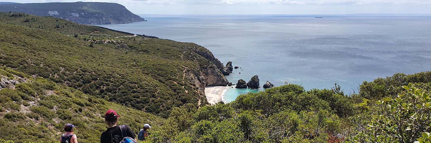 20220626_113301_pan2