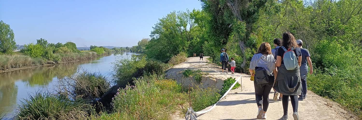 20240421-Pan-IMG20240421095042