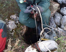 23435718_10155924768902962_1639327631_n[1]