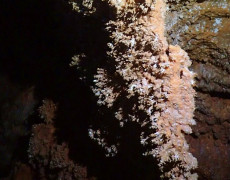 Figura 14 – Aspeto de uma concreção