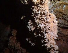 Figura 14 – Aspeto de uma concreção