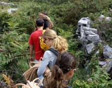 37245602_2577766175582112_7962913128205778944_n