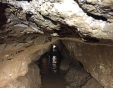 60144253_2671678282860407_3015898036359397376_n[2]