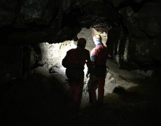 60305894_323567698554909_9056193024723255296_n[1]