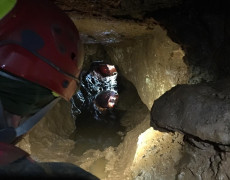 60307158_584866455368318_2965507551602409472_n[1]