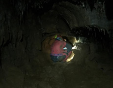 60338953_421001638719716_5755297880772444160_n[1]