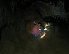 60338953_421001638719716_5755297880772444160_n[1]