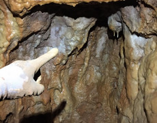 60358859_809422809431057_5677670500130619392_n[2]