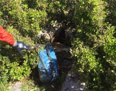 60458924_542941742906046_8891142254786248704_n[1]