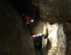 60561164_296976224560510_2600454499881451520_n[1]