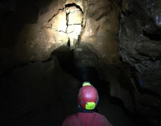 60628556_836447106721067_2995245716181352448_n[1]