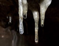 60722277_379068292817040_1183801580730712064_n[2]