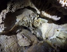 DCIM101GOPROGOPR2207.JPG