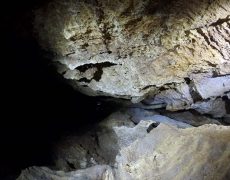 DCIM101GOPROGOPR2219.JPG