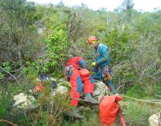 Alecrineiros18_DSC01992