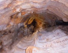 Alecrineiros18_DSC02007