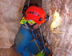 Alecrineiros18_DSC02019