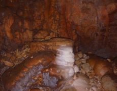 Alecrineiros18_DSC02022