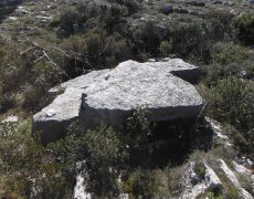 Alecrineiros18_DSCF7426