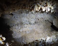 DCIM100GOPROGOPR1541.JPG