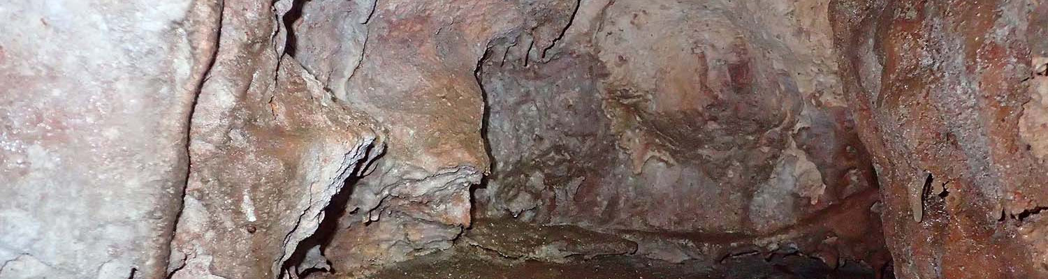 Artigo_Alecrineiros11 Artigo_Alecrineiros11