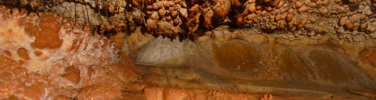 Artigo_Alecrineiros14 Artigo_Alecrineiros14