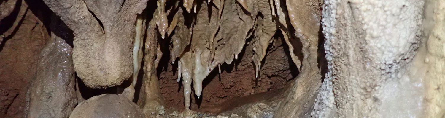 Artigo_Alecrineiros17 Artigo_Alecrineiros17