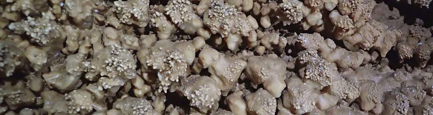 Artigo_Alecrineiros18 Artigo_Alecrineiros18